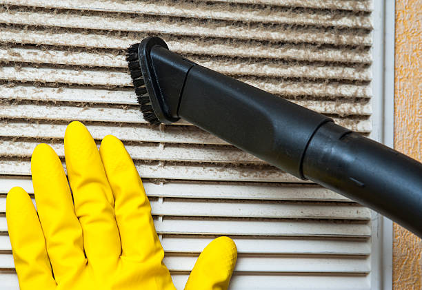 Best Air Duct Cleaning Near Me  in Petal, MS